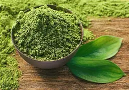 Chlorella